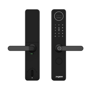 AXGON 人臉辨識八合一智能鎖 G1-100K
